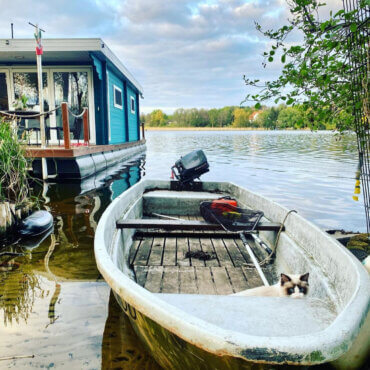 Unser Kater Oskar auf Entdeckungstour